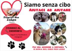 Potrebbe essere un'immagine raffigurante 1 persona, cane e il seguente testo "Siamo senza cibo AIUTACI AD AIUTARE Diamogli Una Zampa Assoro CHIAMACI AL 3383059816 Seguici su Facebook e Instagram FAI UNA ADOZIONE FAUNAADOZIONEDISTANZA A DISTANZA DONA DEL CB PER LORO"